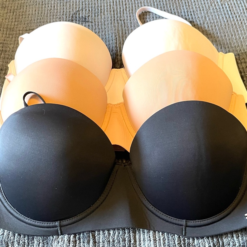 Nautica Bras NWT 38C